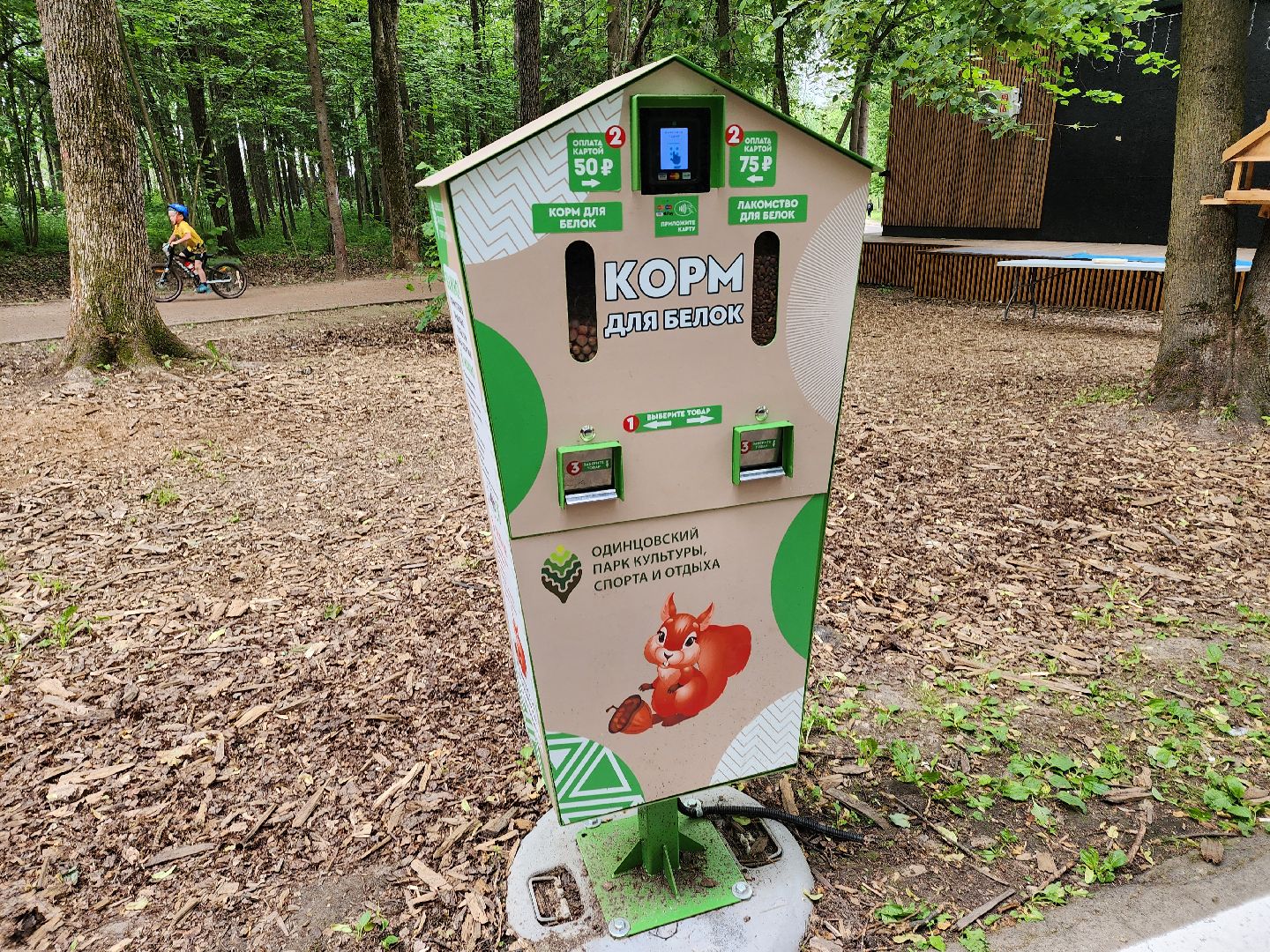 одинцово, парк, птицы, утки, белки, корм, экология,