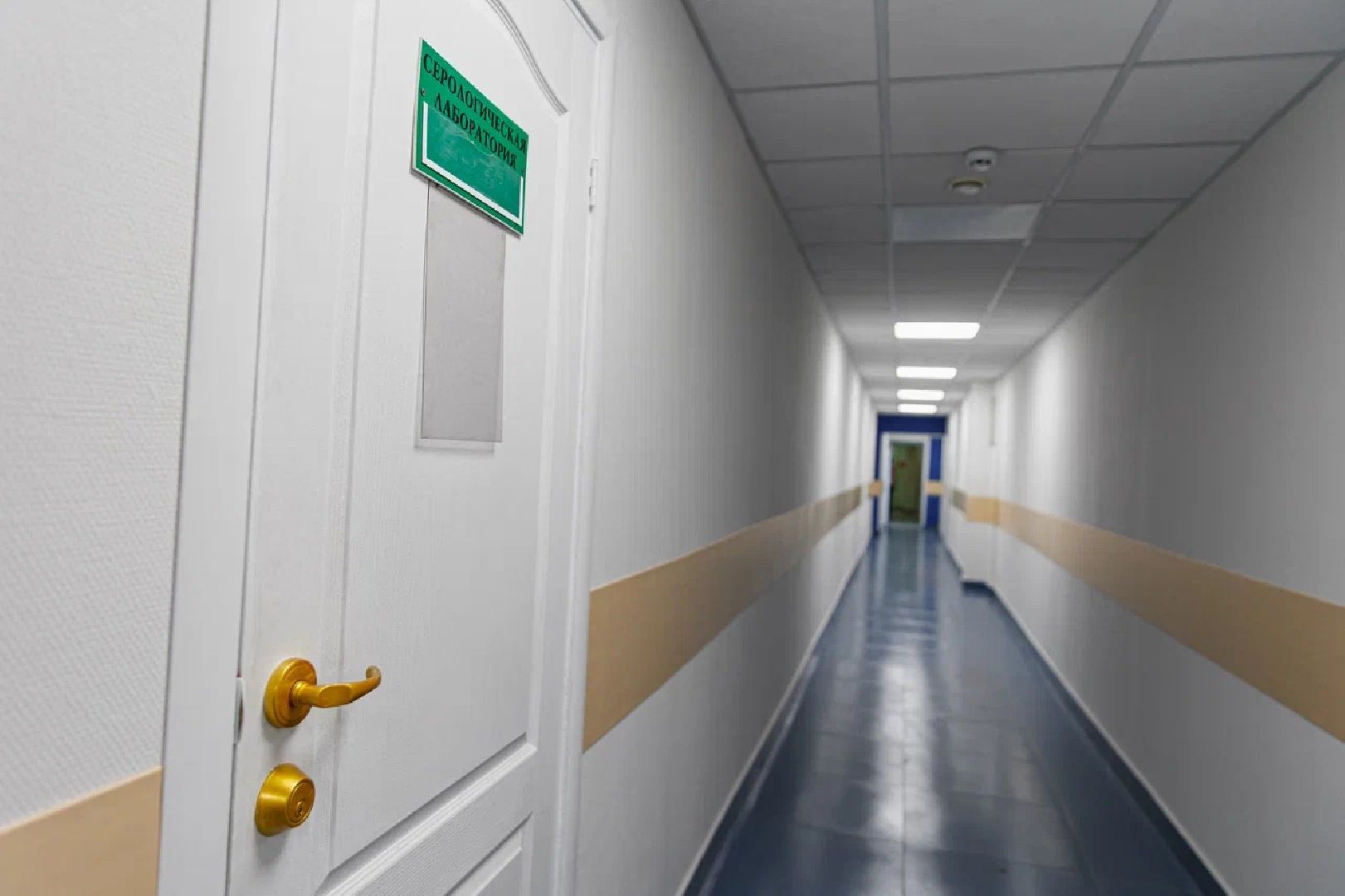 Здравоохранение, ремонт, Орехово-Зуево, Куровское, Заголовацкий