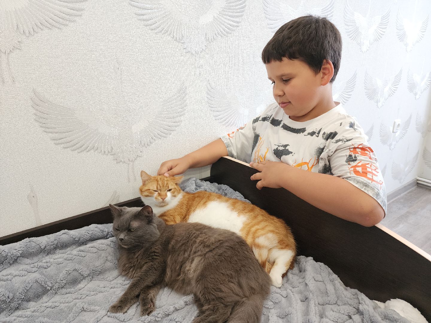 Егорьевск, переселение, переселение из аварийного жилья, Подмосковье, Московская область,