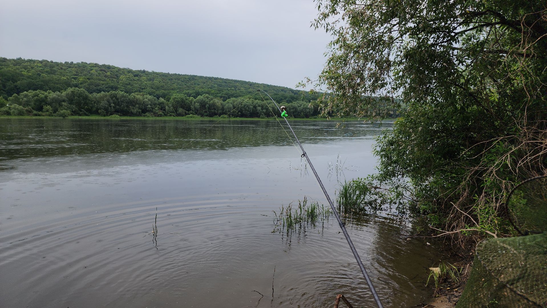 ступино, Нерестовый запрет, Рыбалка в Подмосковье,