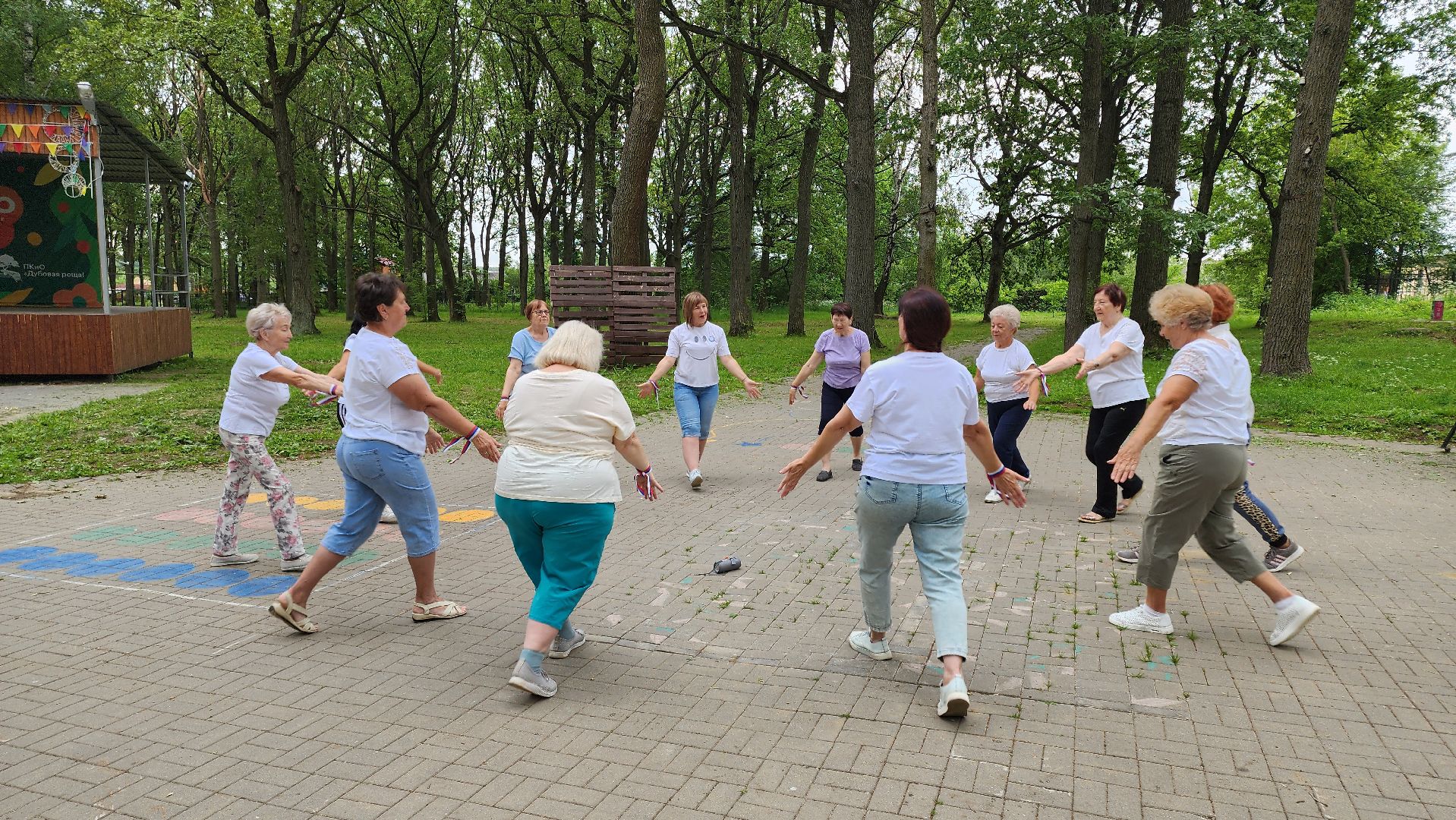 кашира, ожерелье, активное долголетие, флешмоб, танец, день россии, флаг россии,