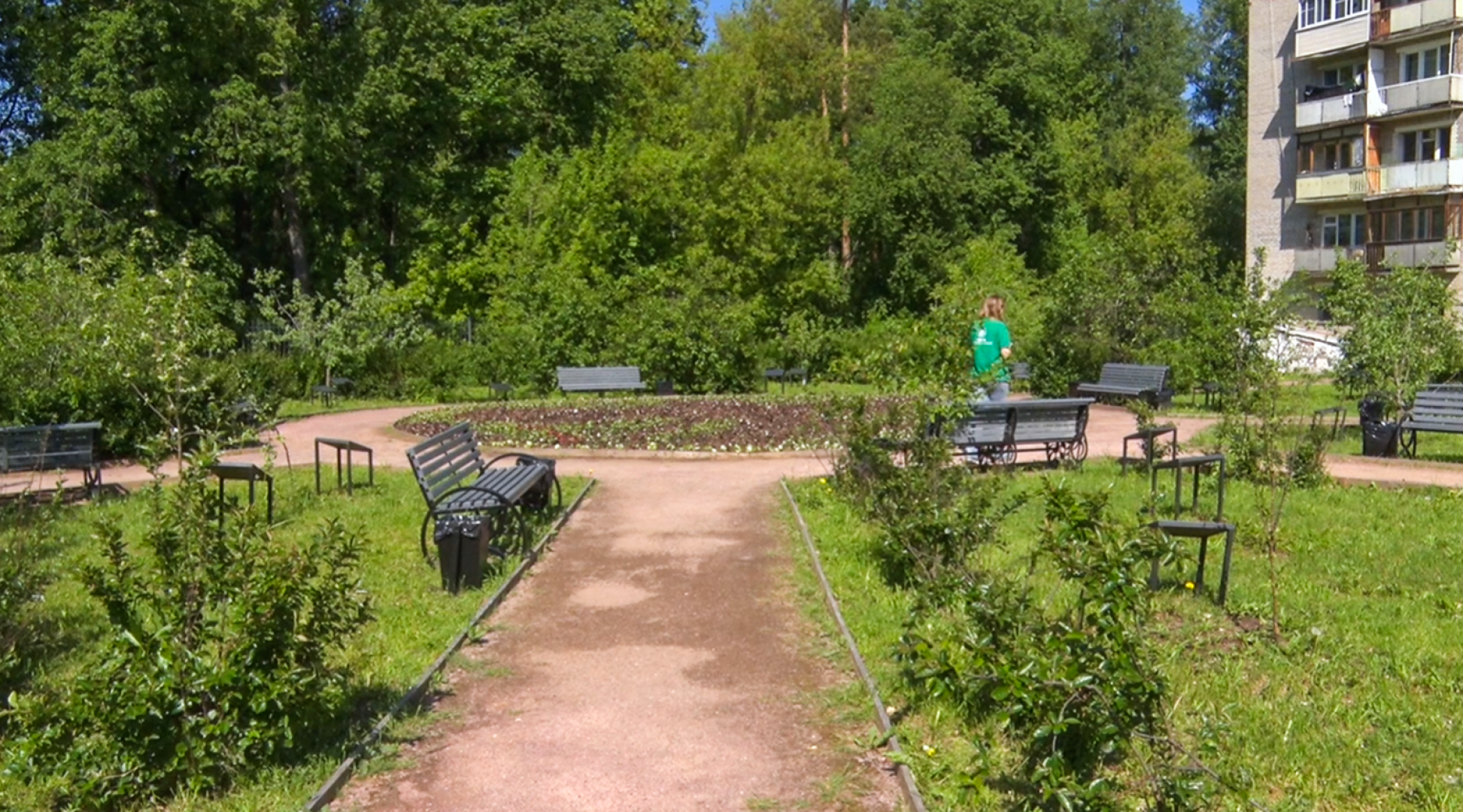 Клин, общество, благоустройство, деревья, сады,