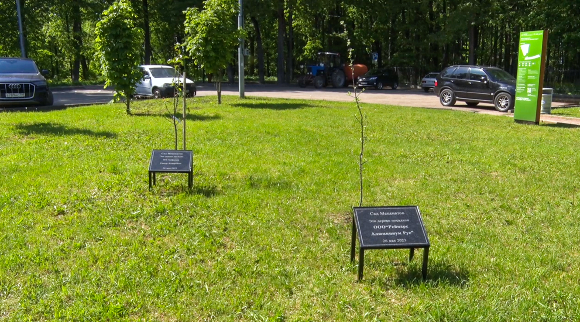 Клин, общество, благоустройство, деревья, сады,