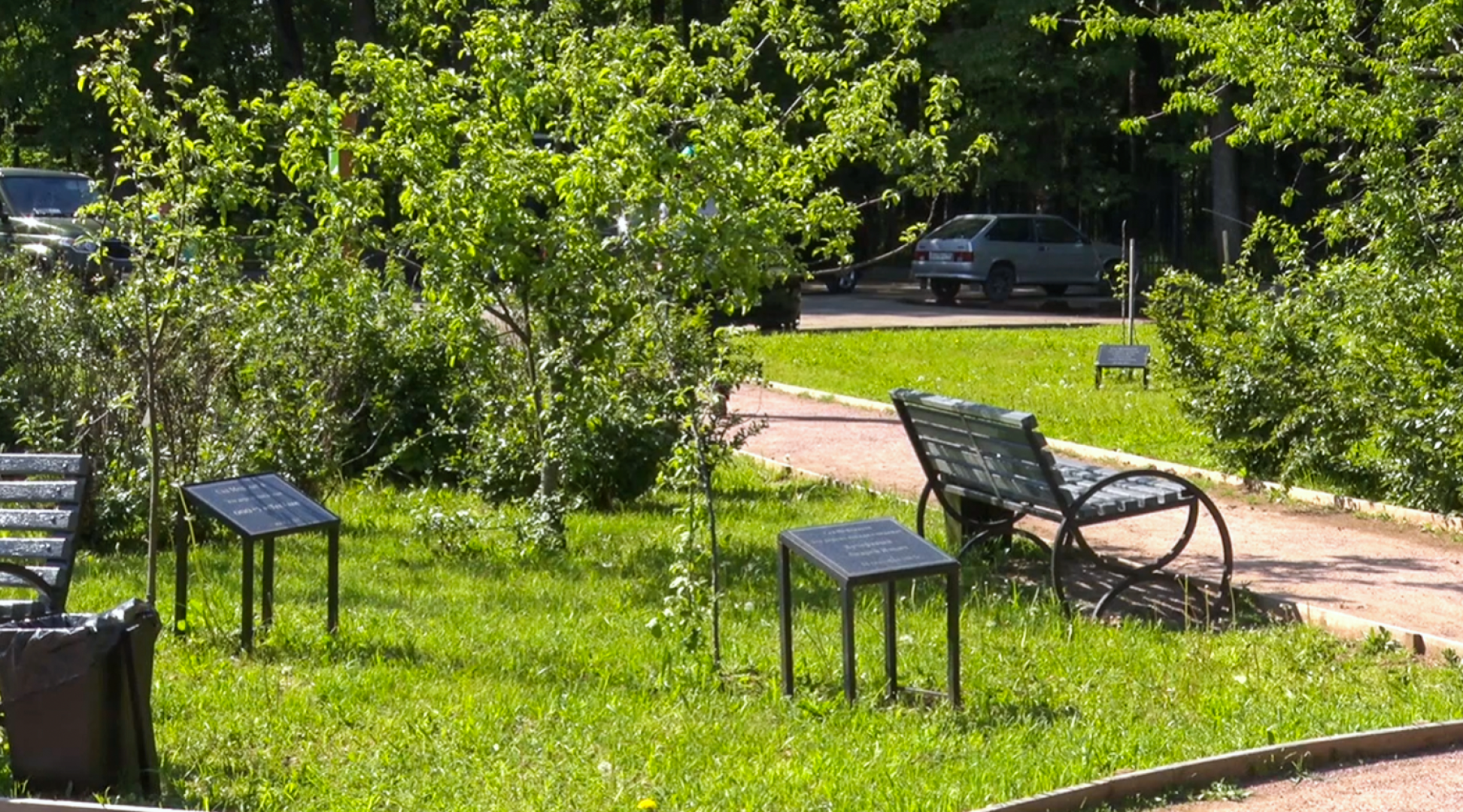 Клин, общество, благоустройство, деревья, сады,