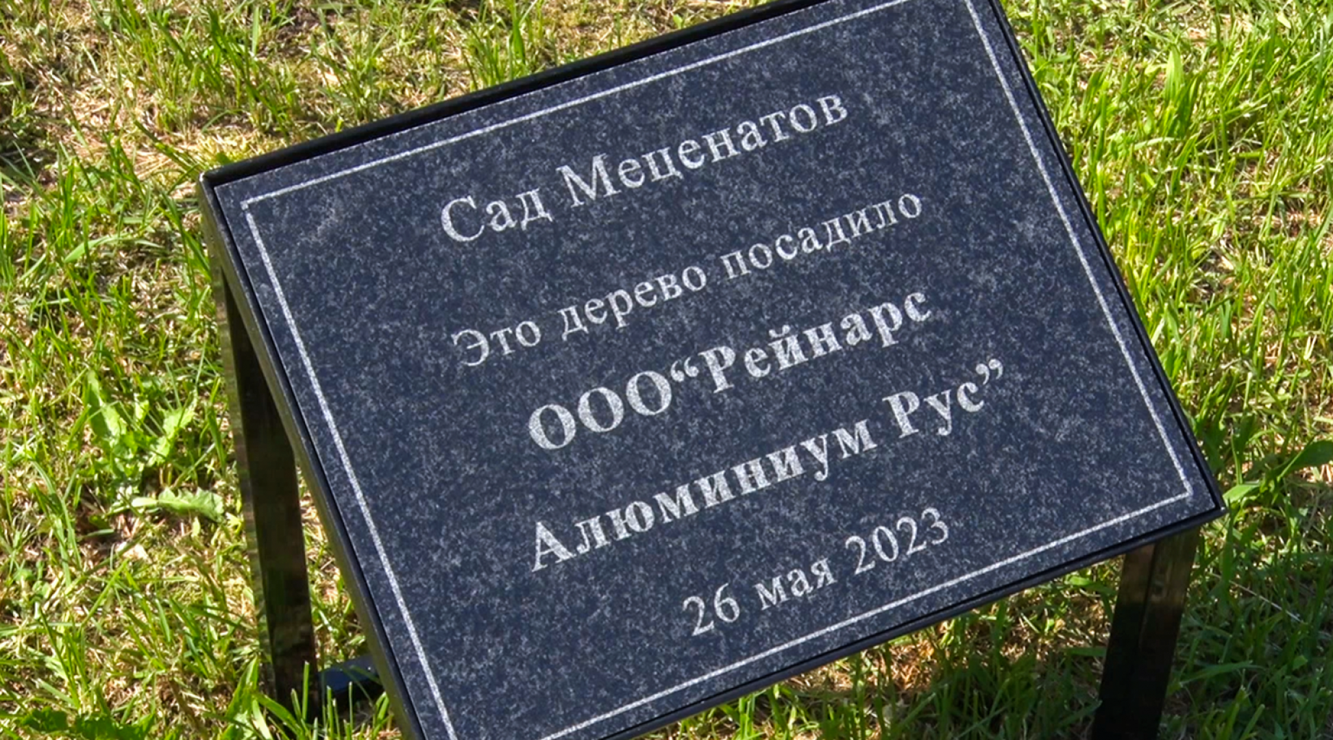 Клин, общество, благоустройство, деревья, сады,