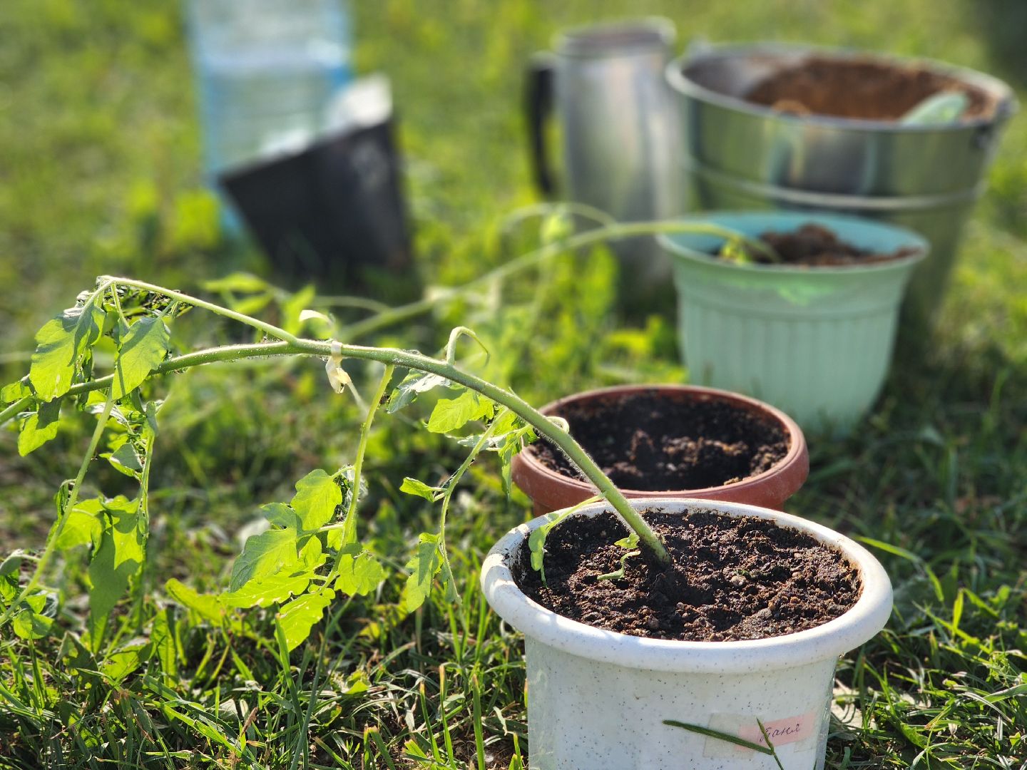 воскресенск, уралхим, дети, экология, экоквест,