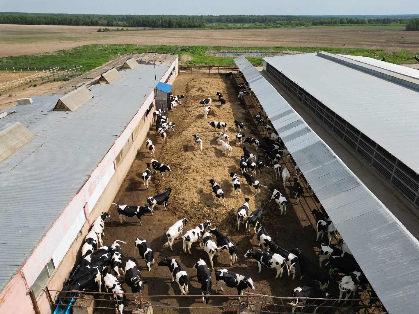 видео с коптера,