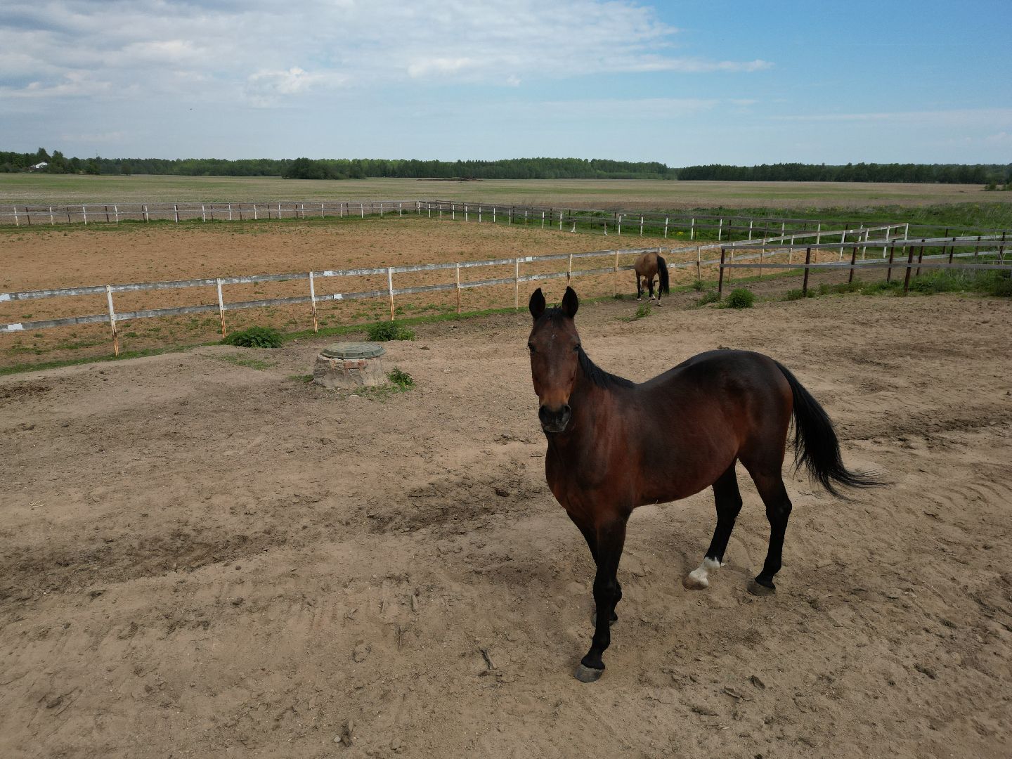 видео с коптера,