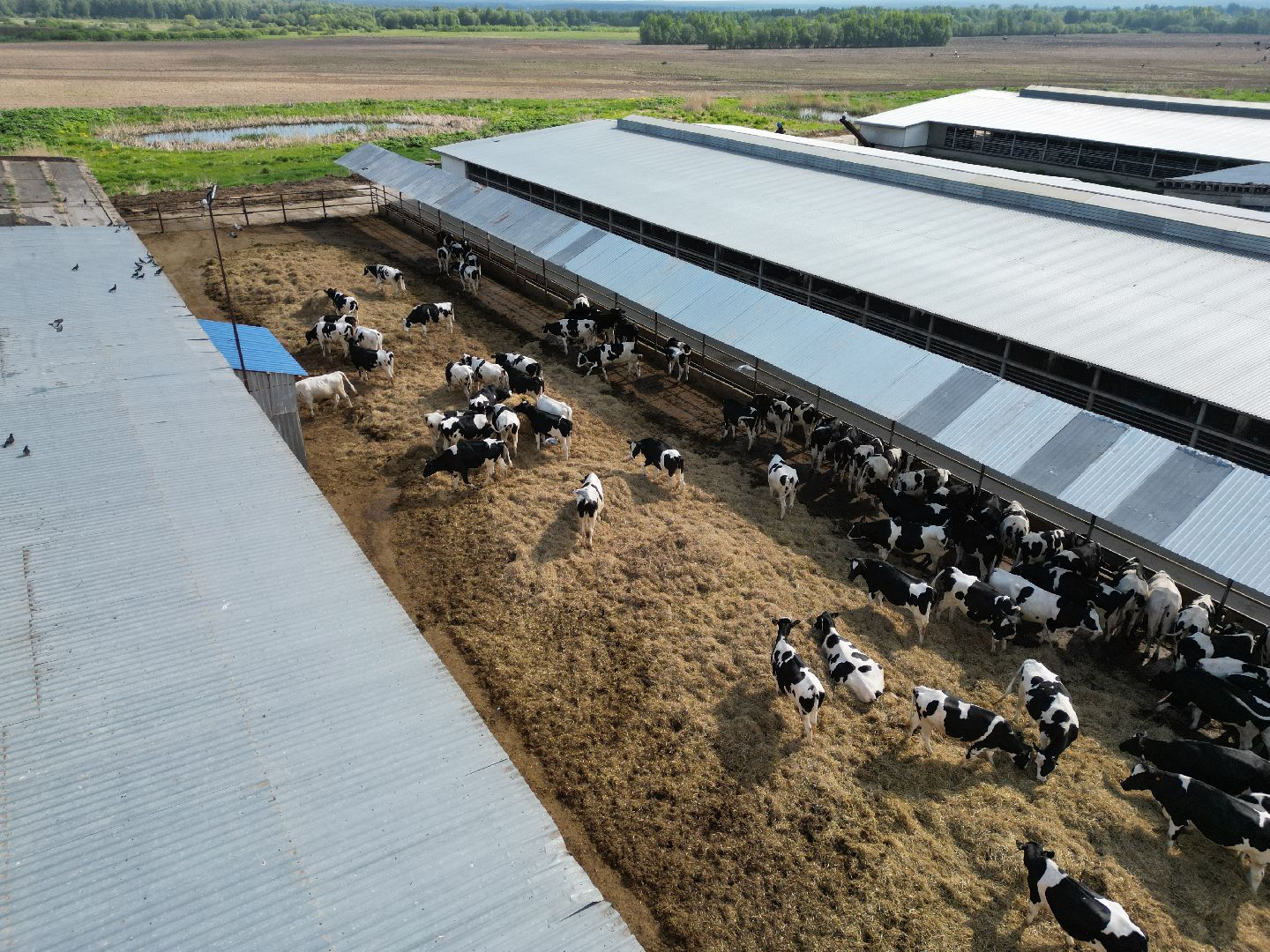 видео с коптера,