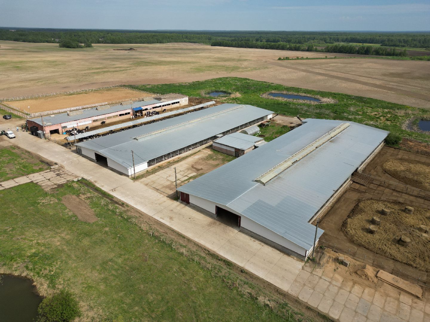 видео с коптера,