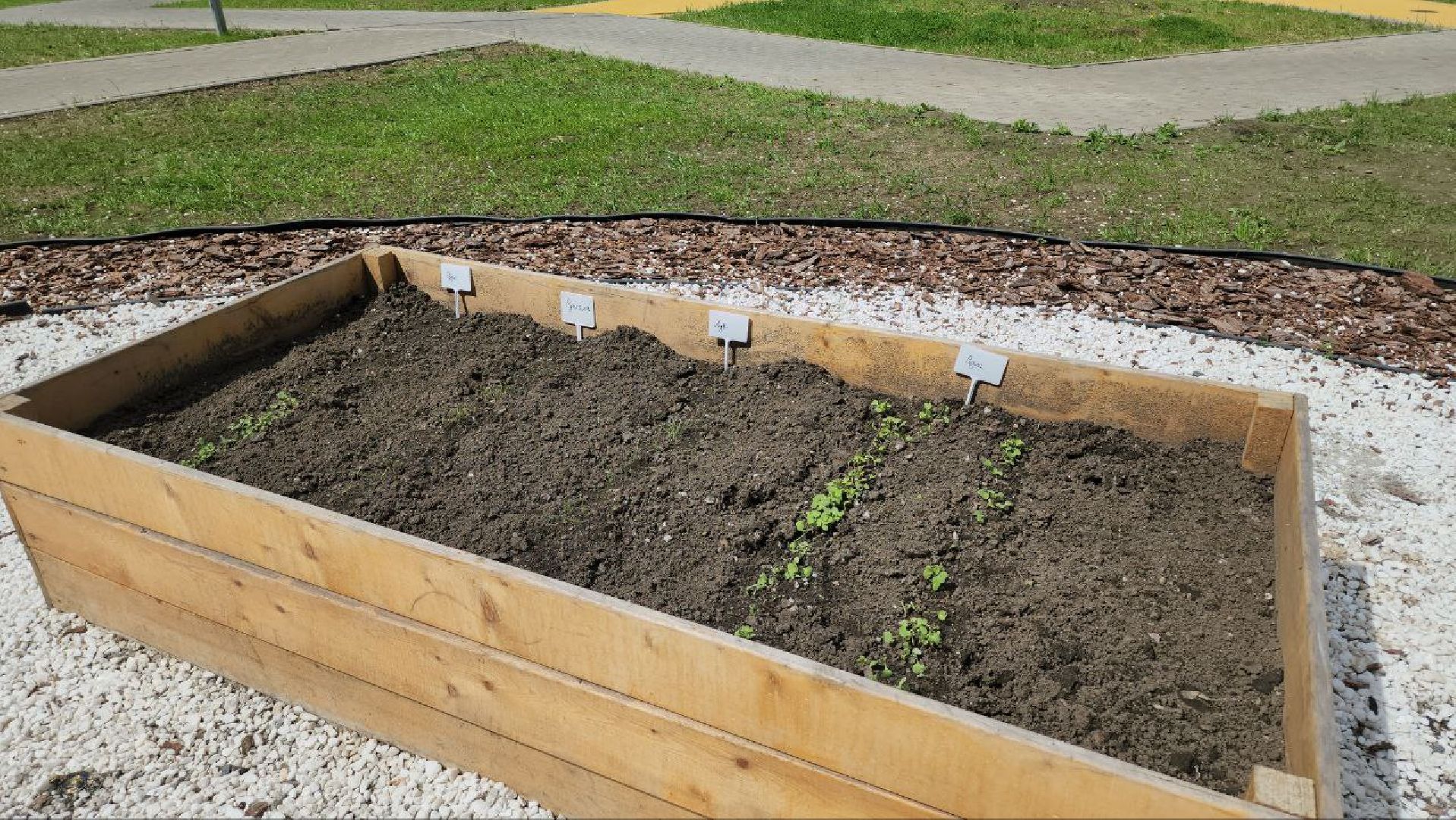 люберцы, народный огород, управляющая компания,