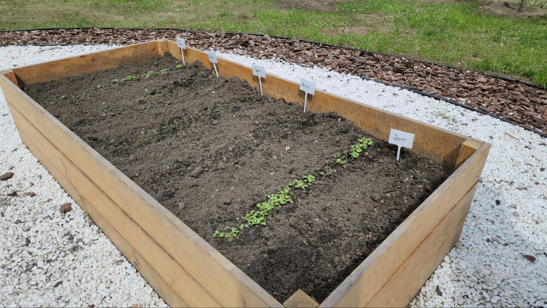 люберцы, народный огород, управляющая компания,