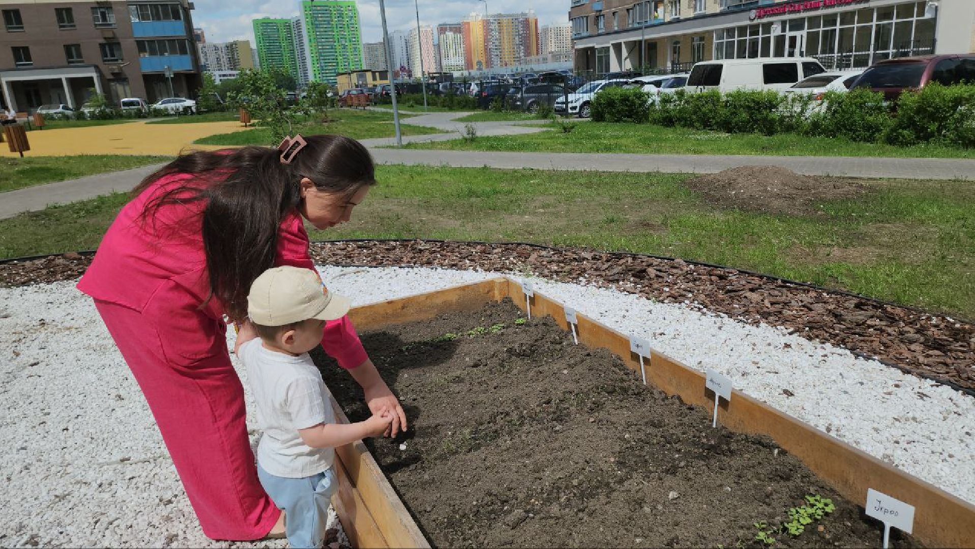 люберцы, народный огород, управляющая компания,