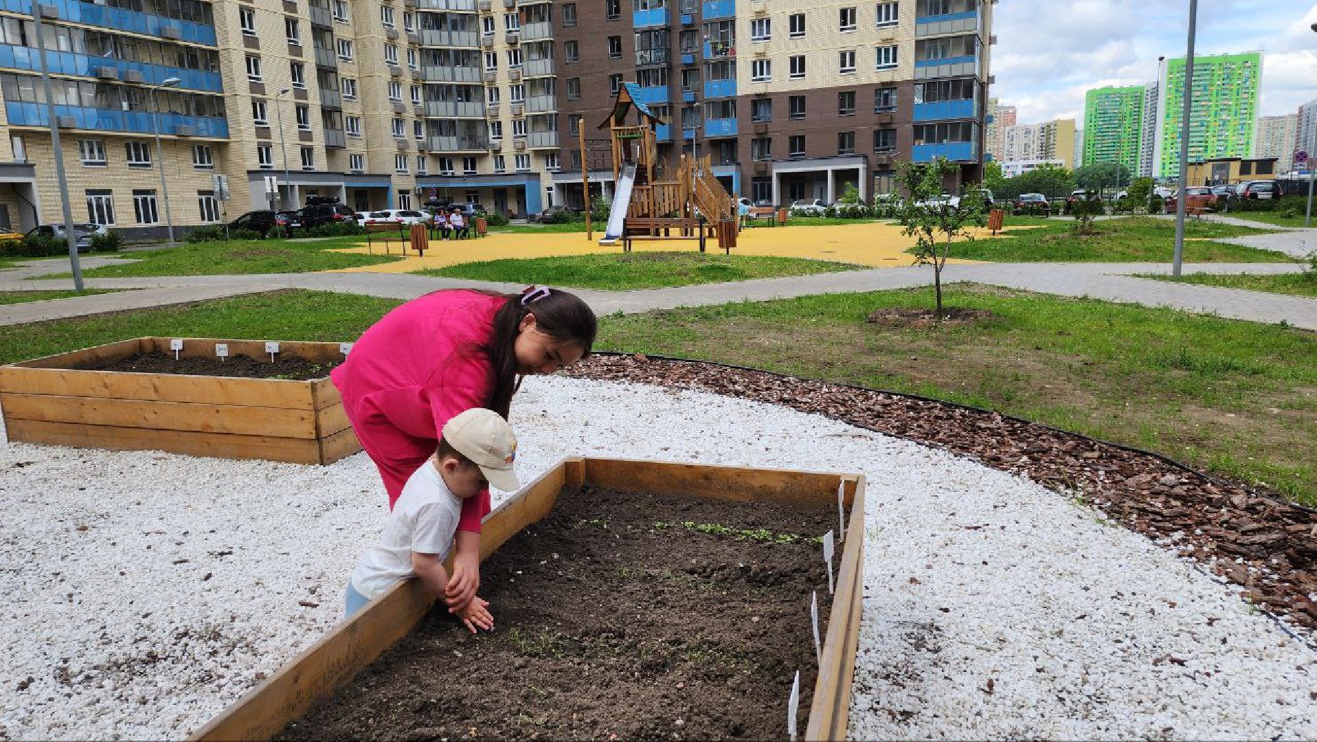 люберцы, народный огород, управляющая компания,