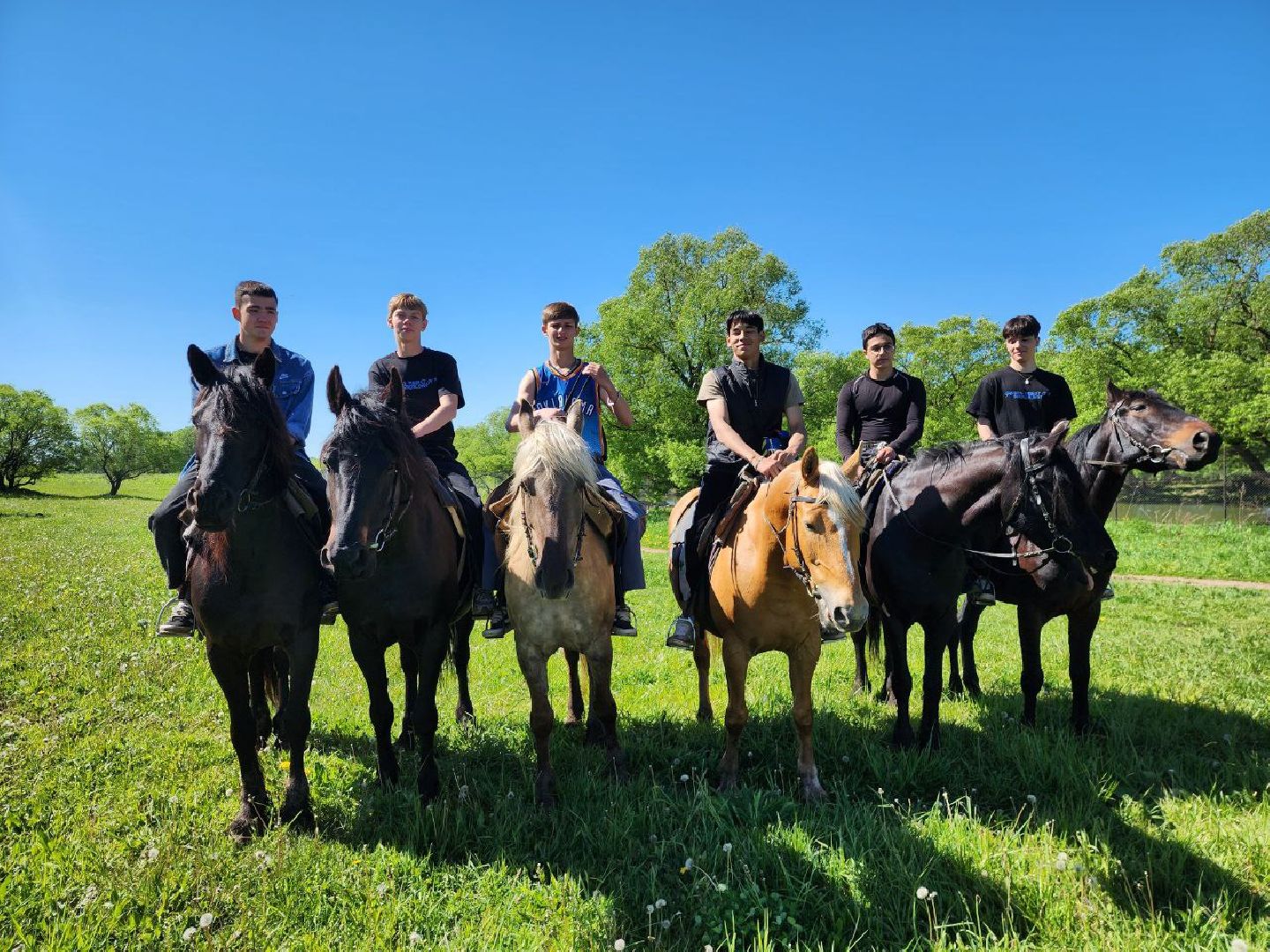 можайск, можайский городской округ, подмосковье, ранчо, аванпост, туризм в можайске, туризм в подмосковье, конные прогулки, кони, лошади,