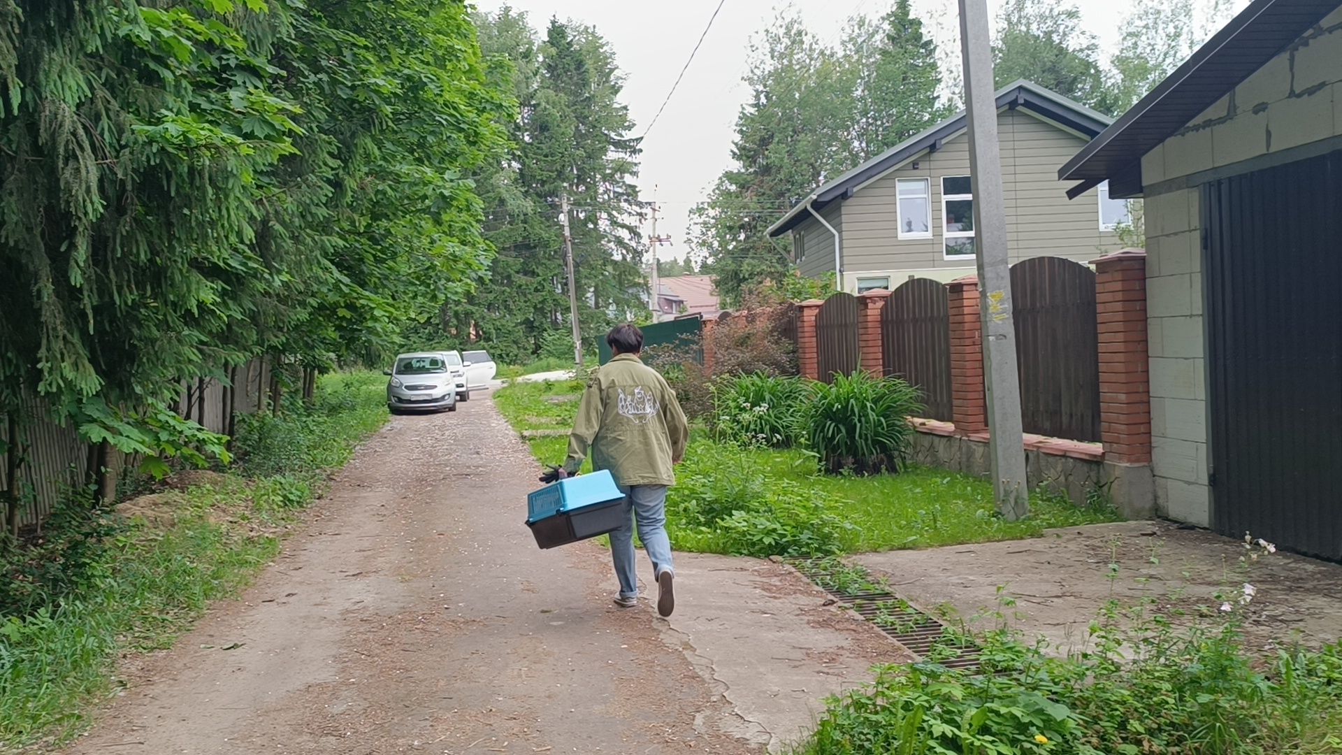 огарь, экология, парк, лобня, птицы, животные,