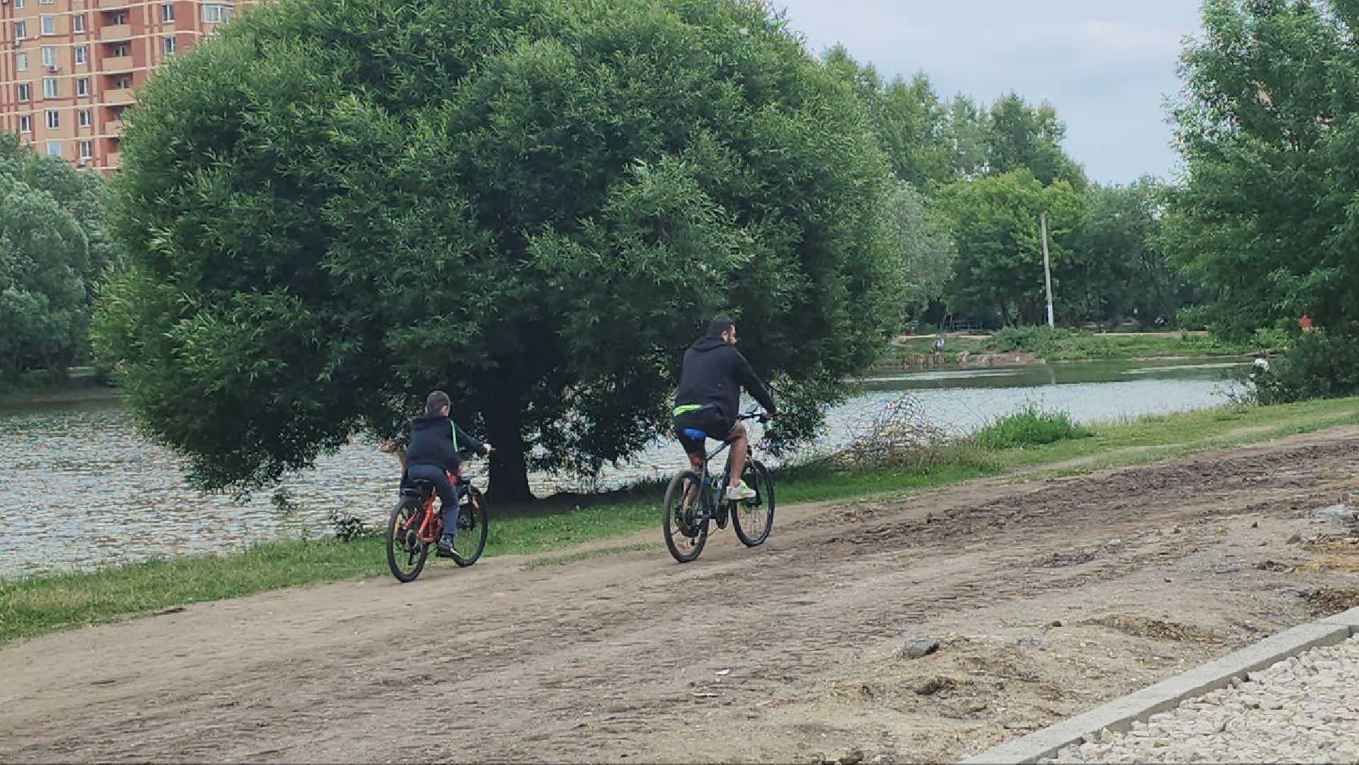 люберцы, наташинский парк, благоустройство, реконструкция,