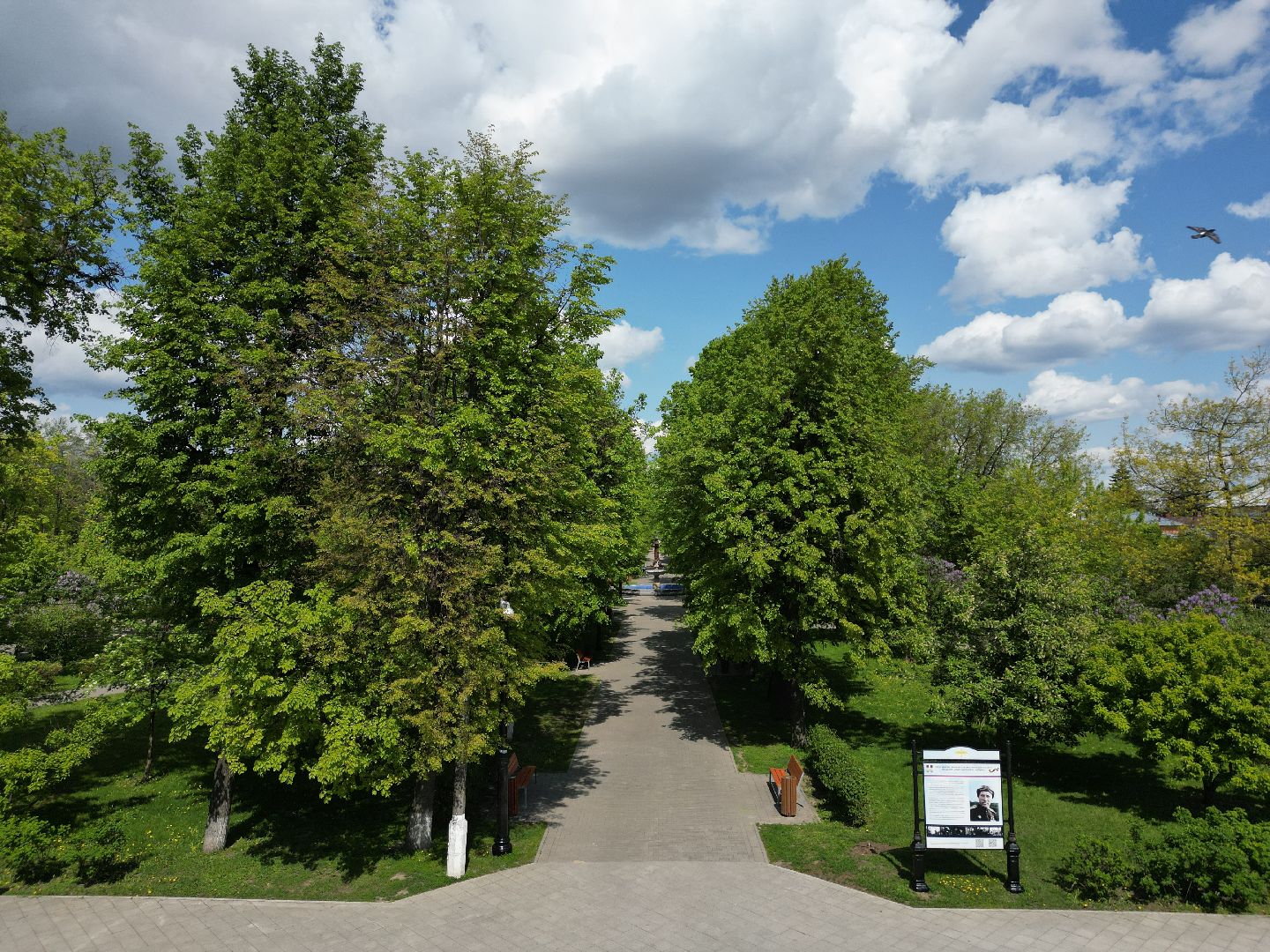 видео с коптера,