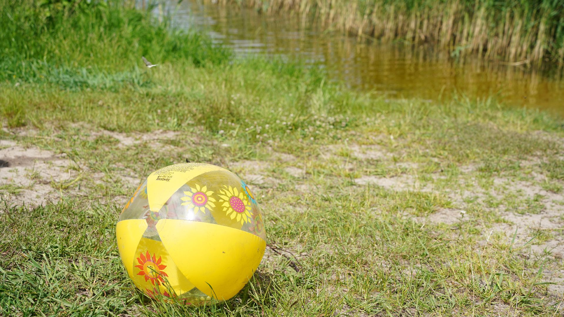 экология, вода России, экологическая акция, Большая Шатура, Лемешино,