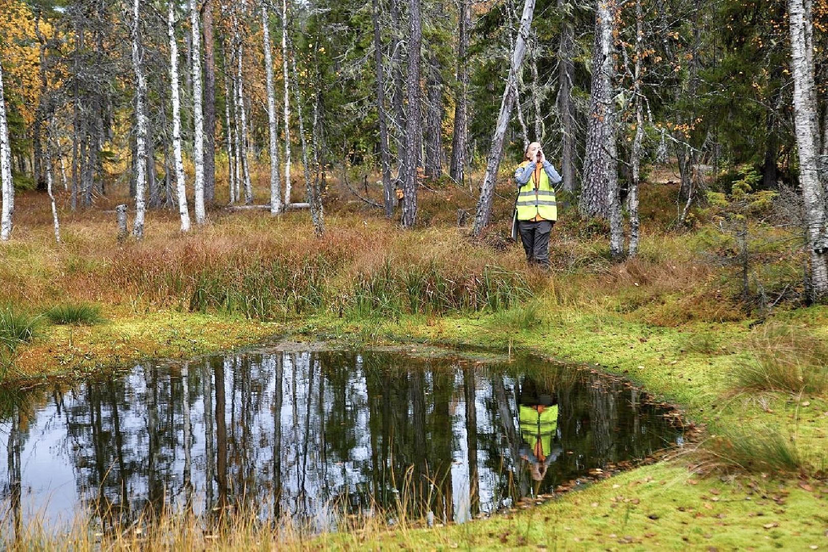 Балашиха, Подмосковье, ЛизаАлерт, Поиск подростков, поисковый отряд, поиск родственников,