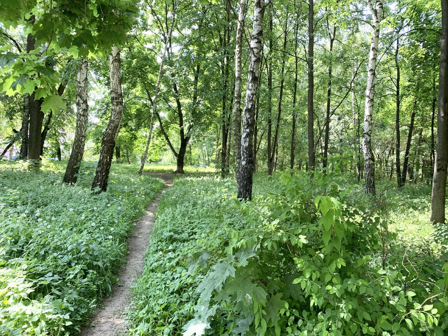 Балашиха, Подмосковье, ЛизаАлерт, Поиск подростков, поисковый отряд, поиск родственников,