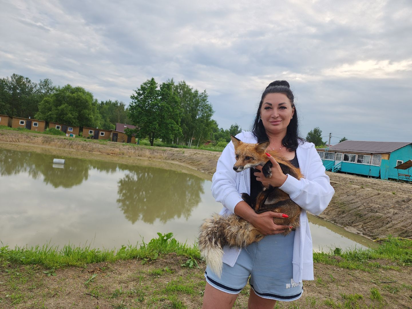зоогостинница, Егорьевск, Подмосковье, Московская область лисы,