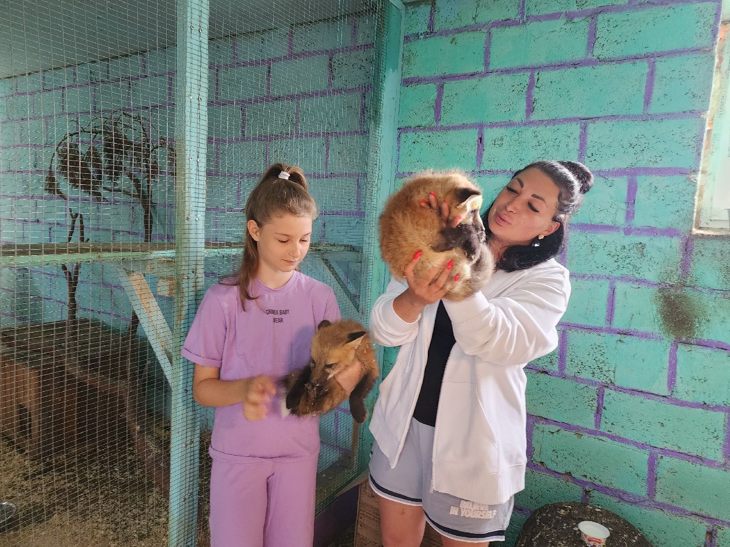 зоогостинница, Егорьевск, Подмосковье, Московская область лисы,