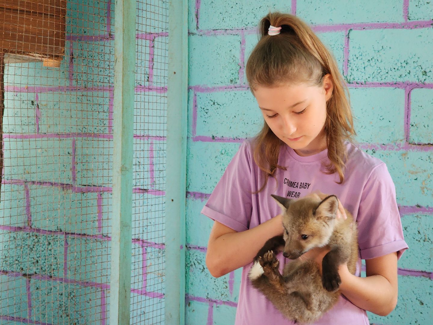 зоогостинница, Егорьевск, Подмосковье, Московская область лисы,