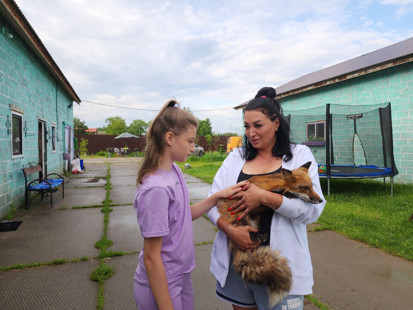 зоогостинница, Егорьевск, Подмосковье, Московская область лисы,