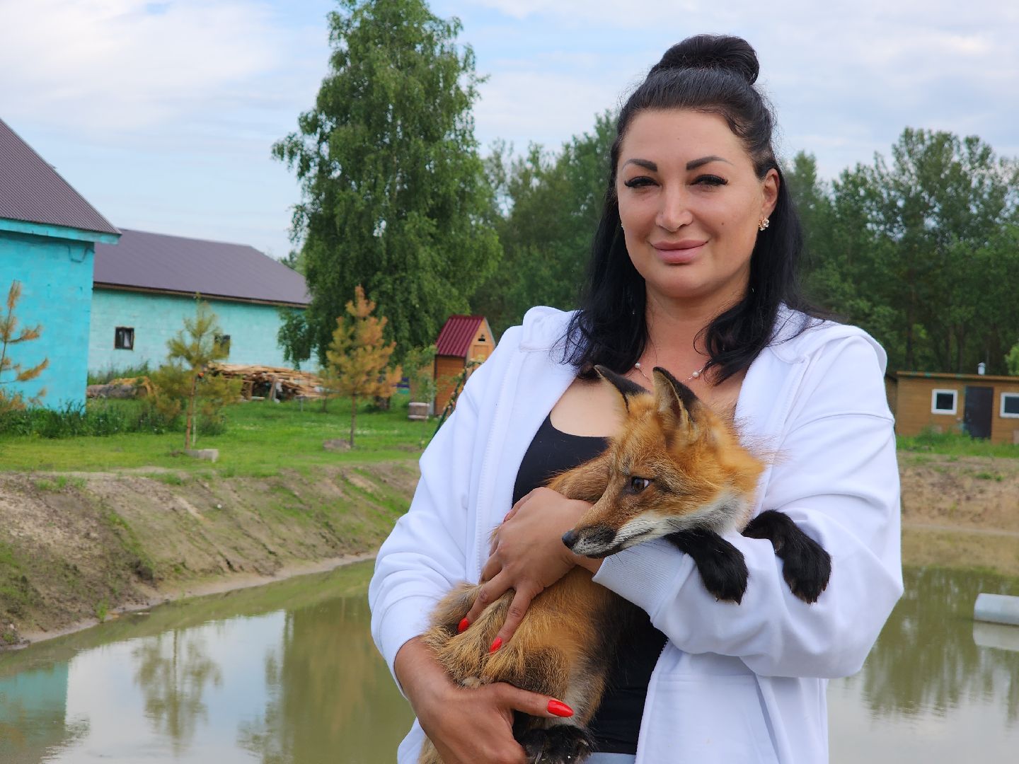 зоогостинница, Егорьевск, Подмосковье, Московская область лисы,