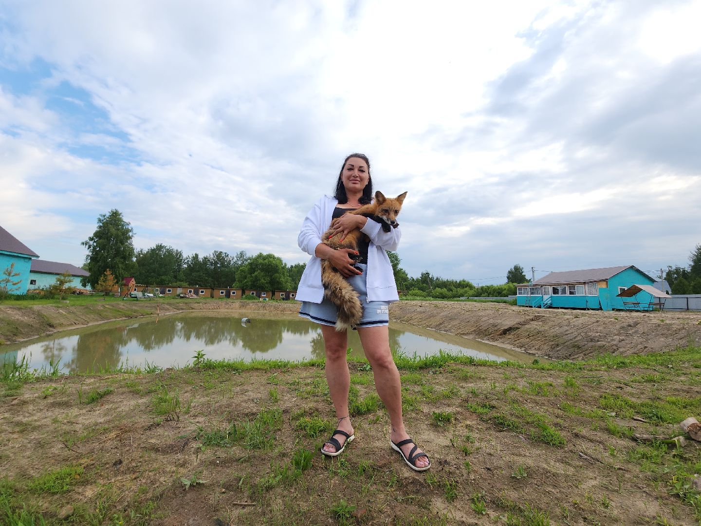 зоогостинница, Егорьевск, Подмосковье, Московская область лисы,