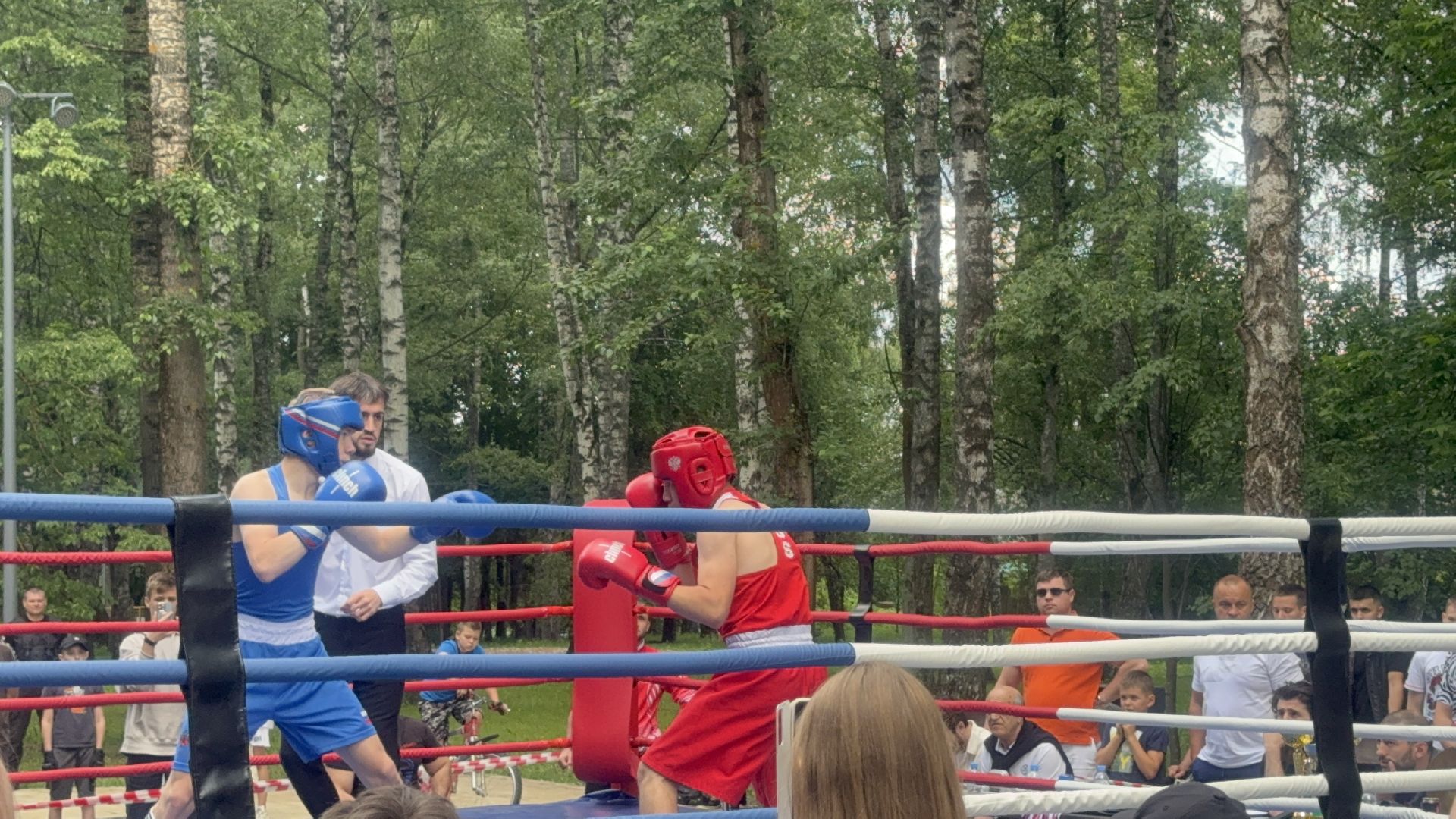 Солнечногорск, Спорт, Бокс, Турнир, Спортсмены,