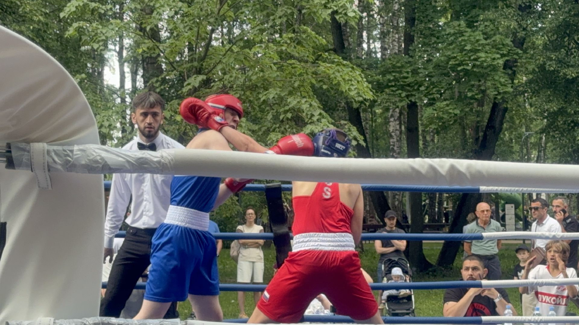 Солнечногорск, Спорт, Бокс, Турнир, Спортсмены,