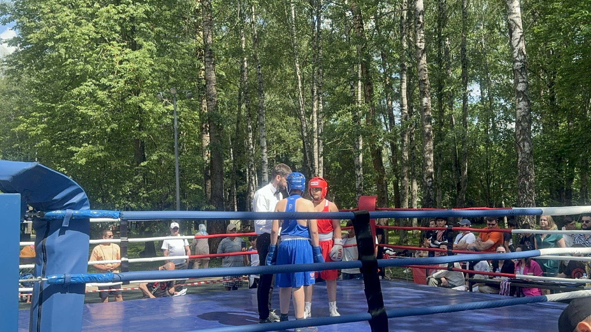 Солнечногорск, Спорт, Бокс, Турнир, Спортсмены,