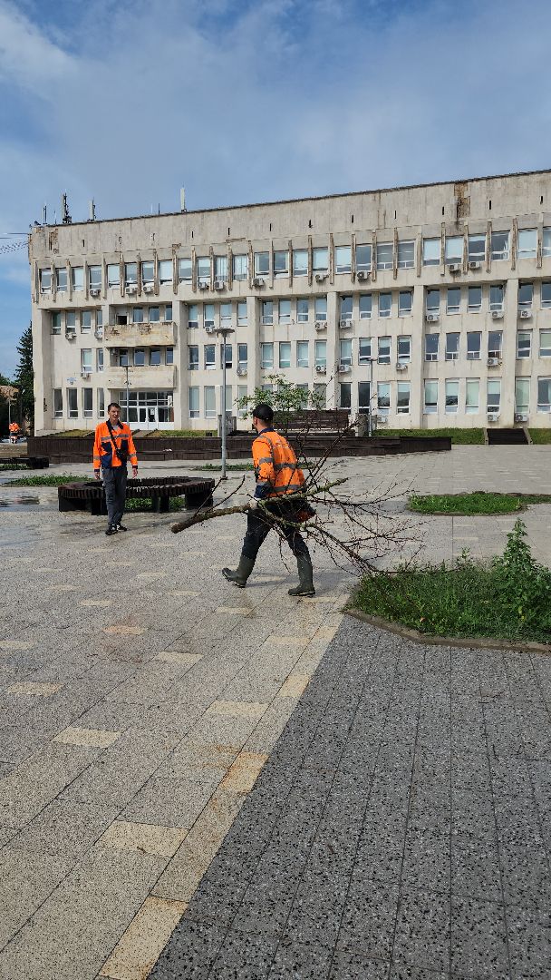 благоустройство, благоустройство 2024, руза, рузский городской округ, опиловка деревьев, коммунальщики, московская область,