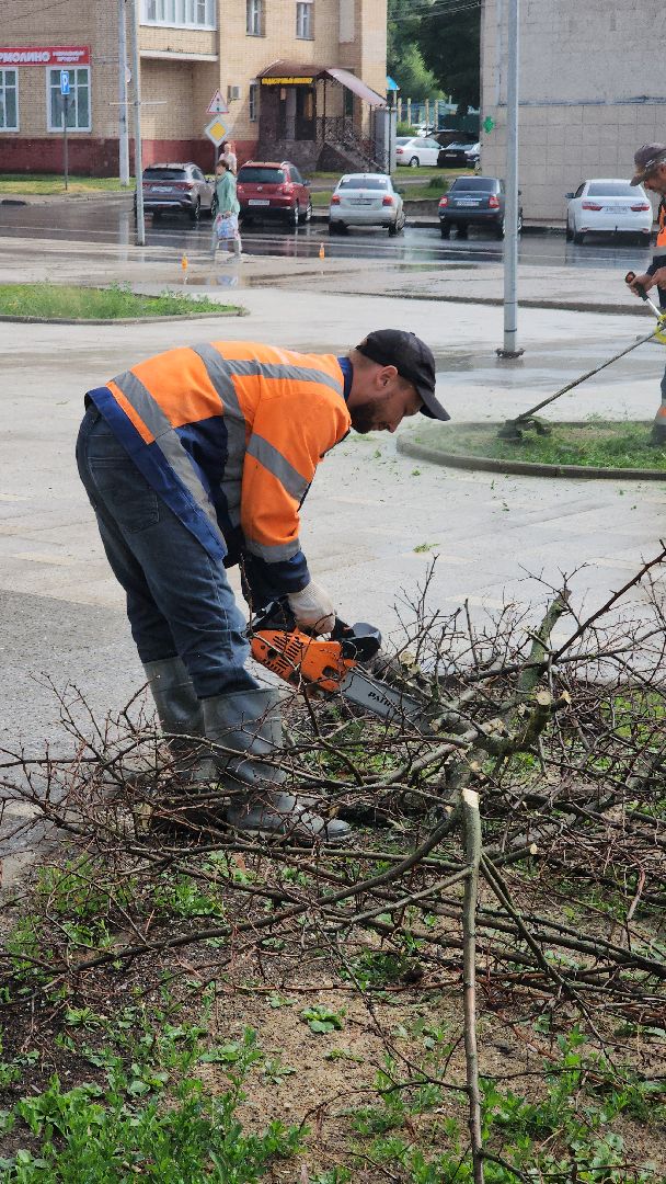 благоустройство, благоустройство 2024, руза, рузский городской округ, опиловка деревьев, коммунальщики, московская область,