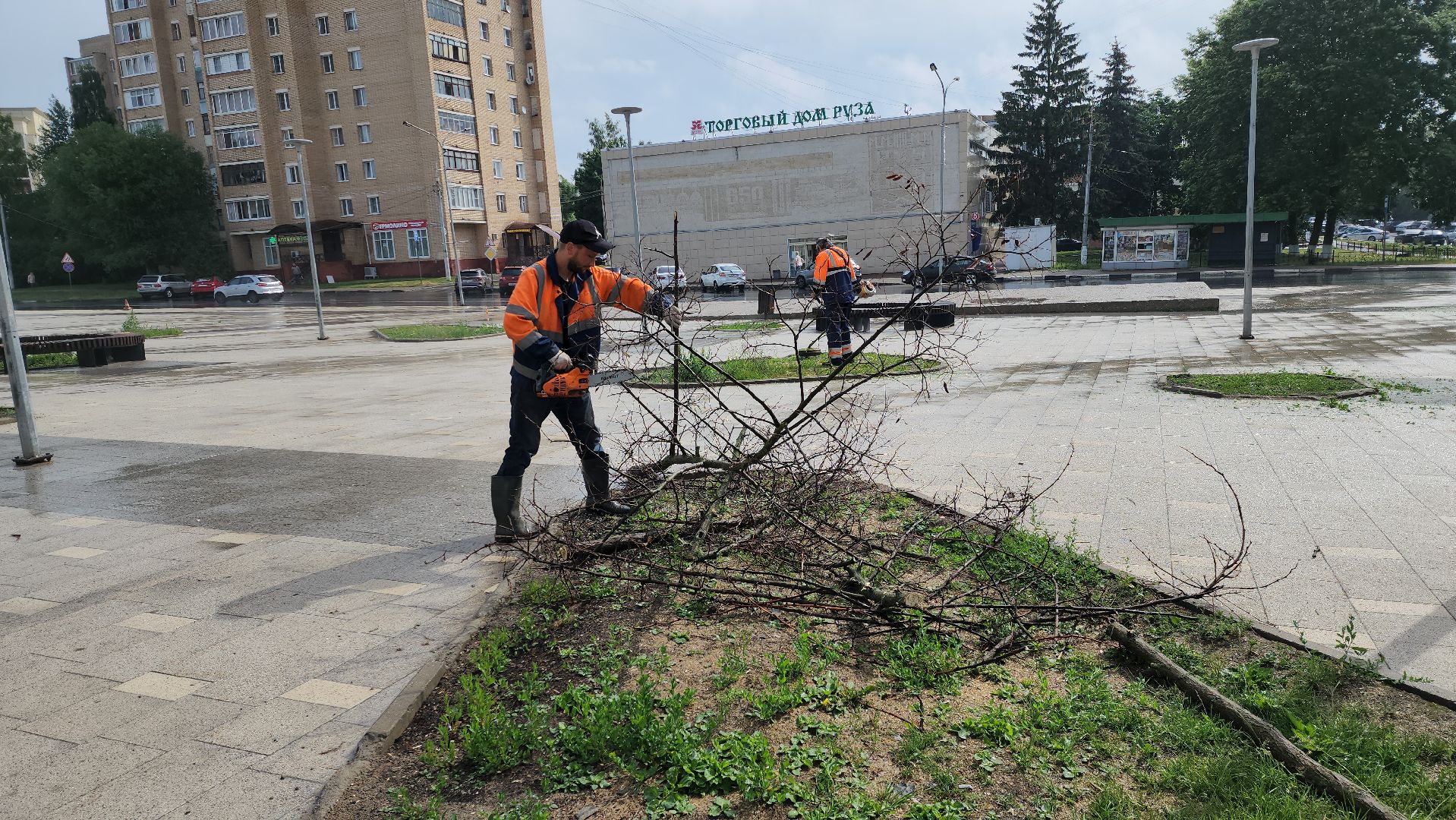 благоустройство, благоустройство 2024, руза, рузский городской округ, опиловка деревьев, коммунальщики, московская область,