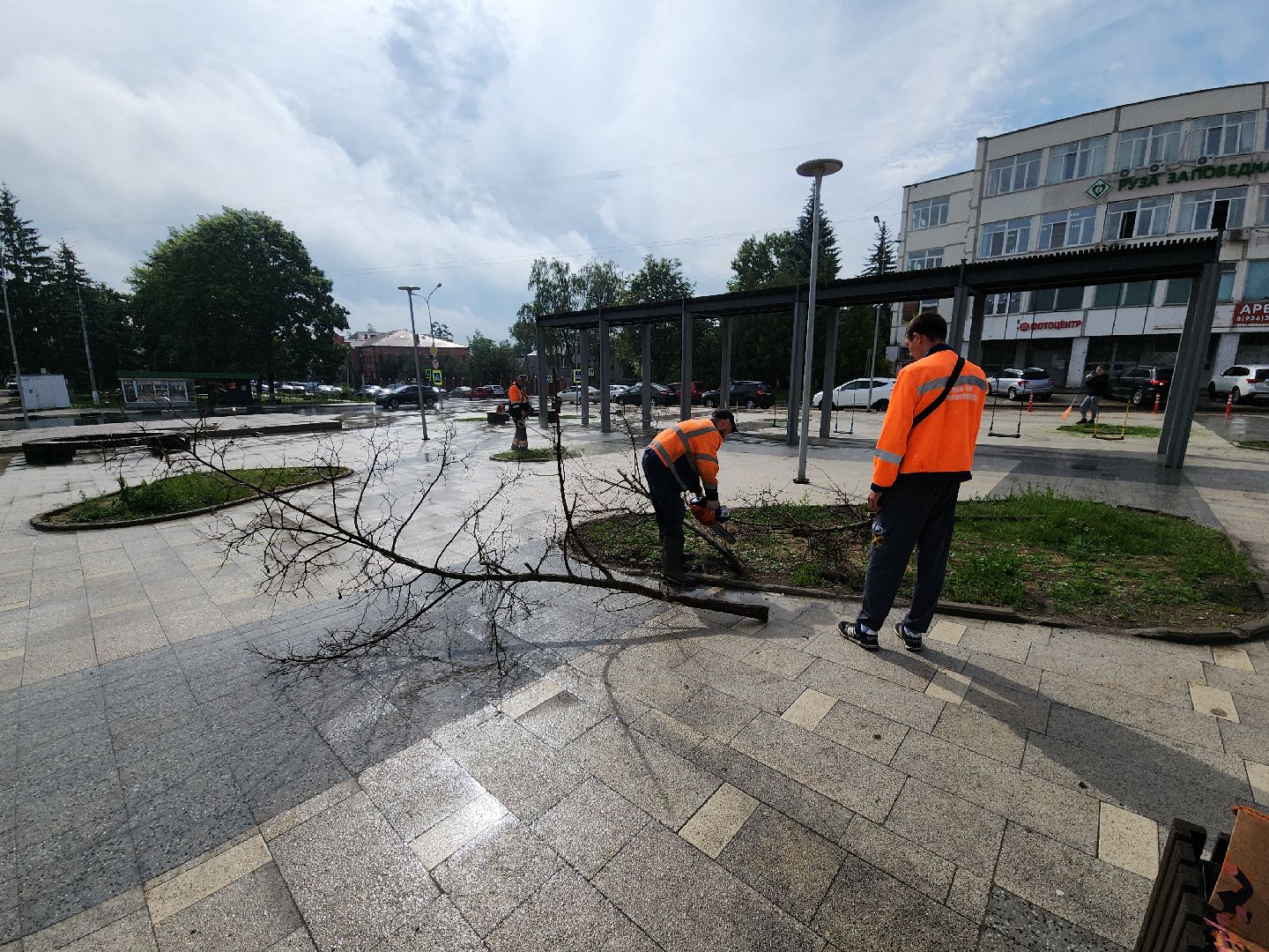благоустройство, благоустройство 2024, руза, рузский городской округ, опиловка деревьев, коммунальщики, московская область,