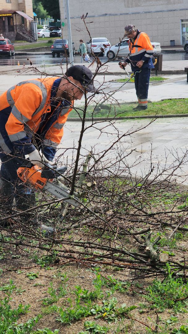 благоустройство, благоустройство 2024, руза, рузский городской округ, опиловка деревьев, коммунальщики, московская область,