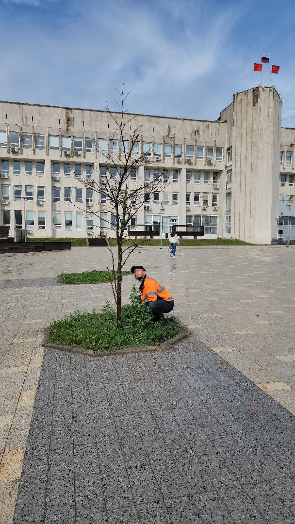 благоустройство, благоустройство 2024, руза, рузский городской округ, опиловка деревьев, коммунальщики, московская область,