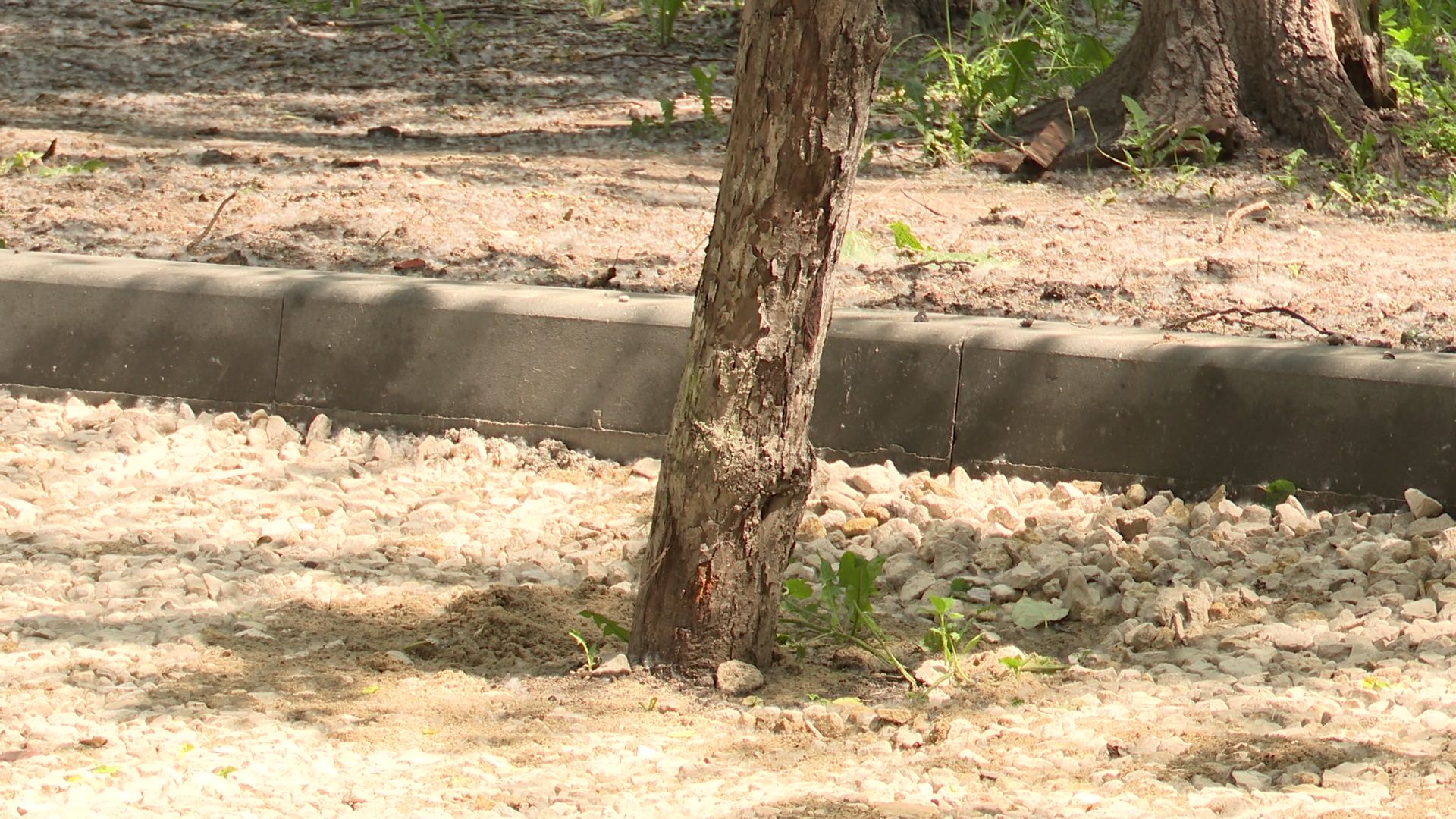 Реутов, ЖКХ, благоустройство, реконструкция, тепосети,