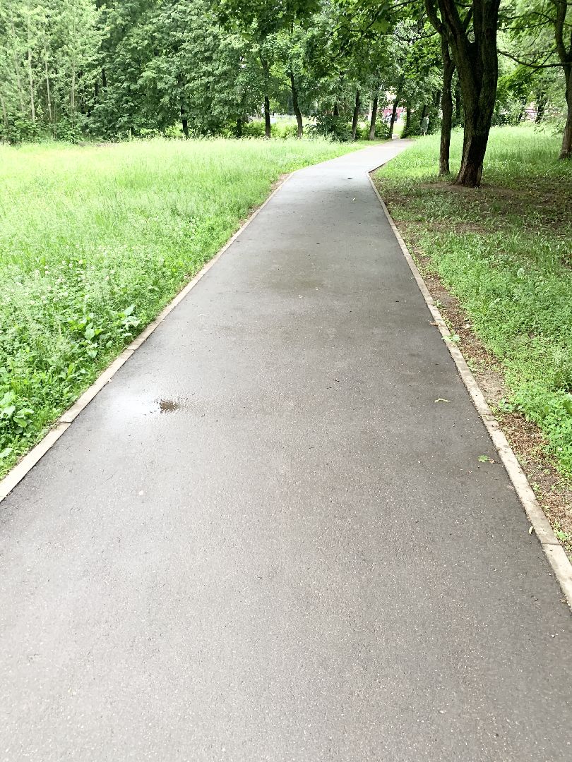 Балашиха, Подмосковье, Дороги, Народные тропы, пешеходная дорожка,