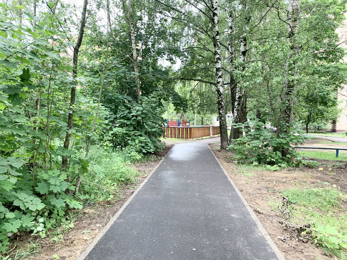 Балашиха, Подмосковье, Дороги, Народные тропы, пешеходная дорожка,