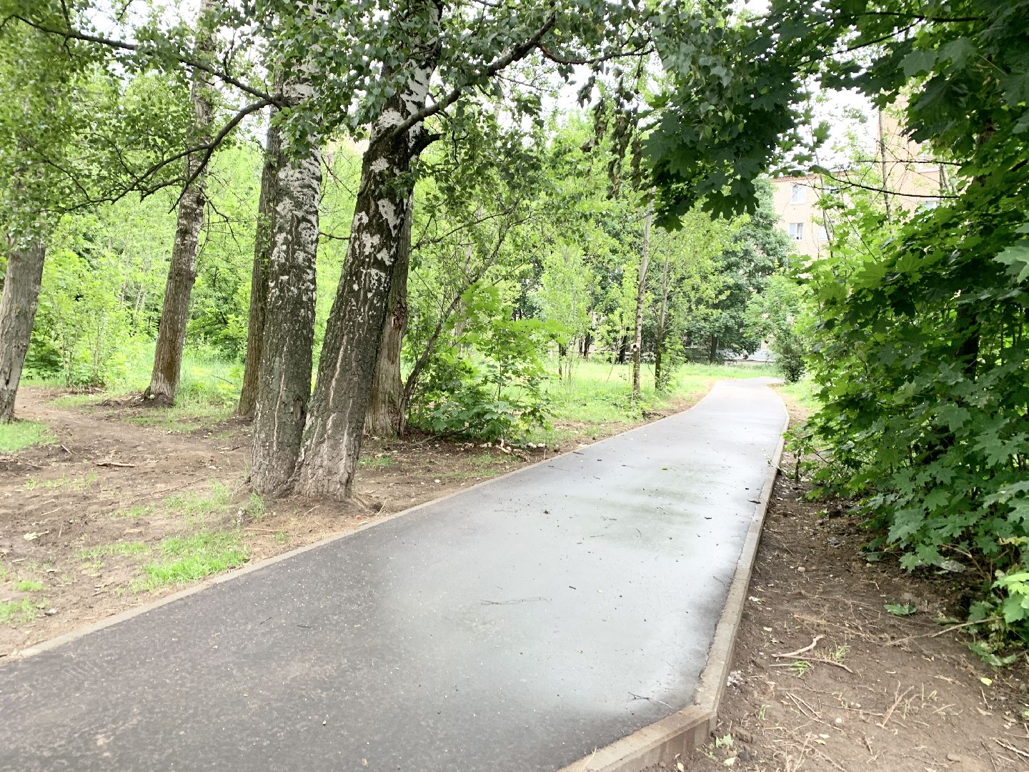 Балашиха, Подмосковье, Дороги, Народные тропы, пешеходная дорожка,