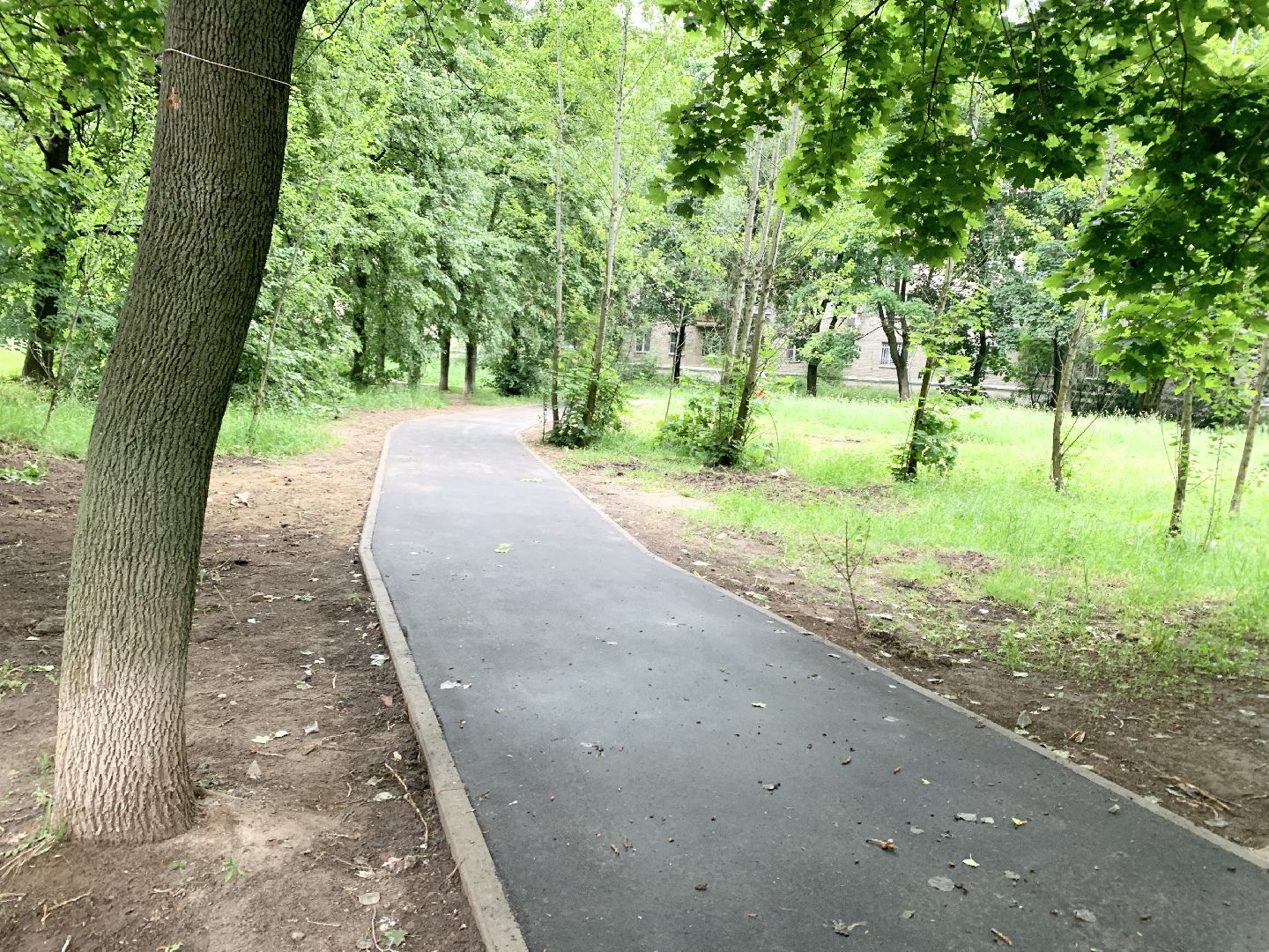 Балашиха, Подмосковье, Дороги, Народные тропы, пешеходная дорожка,