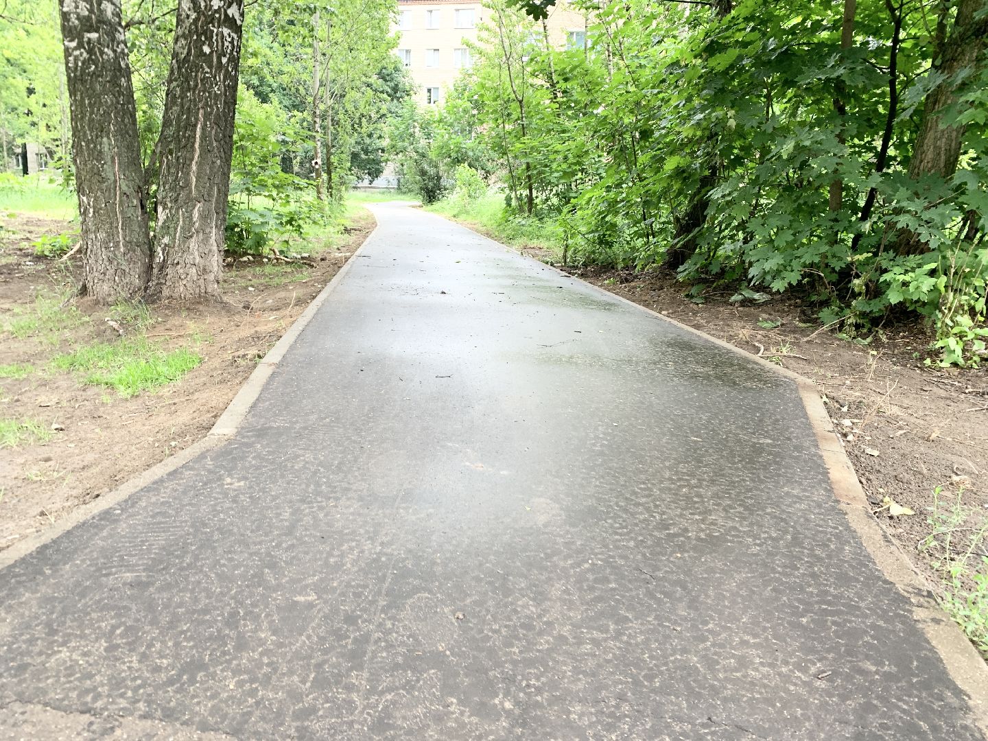Балашиха, Подмосковье, Дороги, Народные тропы, пешеходная дорожка,