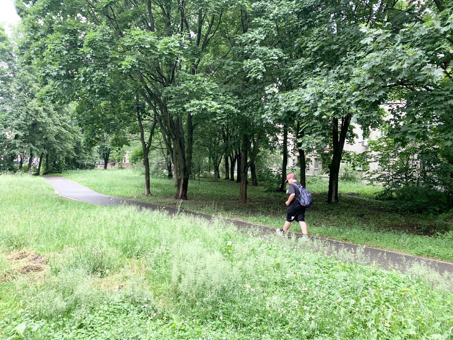 Балашиха, Подмосковье, Дороги, Народные тропы, пешеходная дорожка,