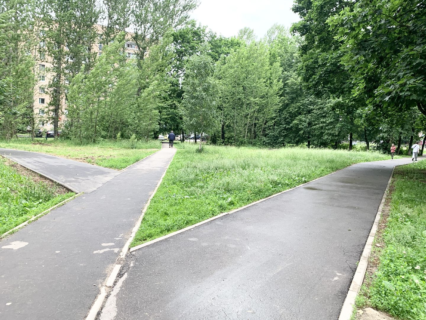 Балашиха, Подмосковье, Дороги, Народные тропы, пешеходная дорожка,