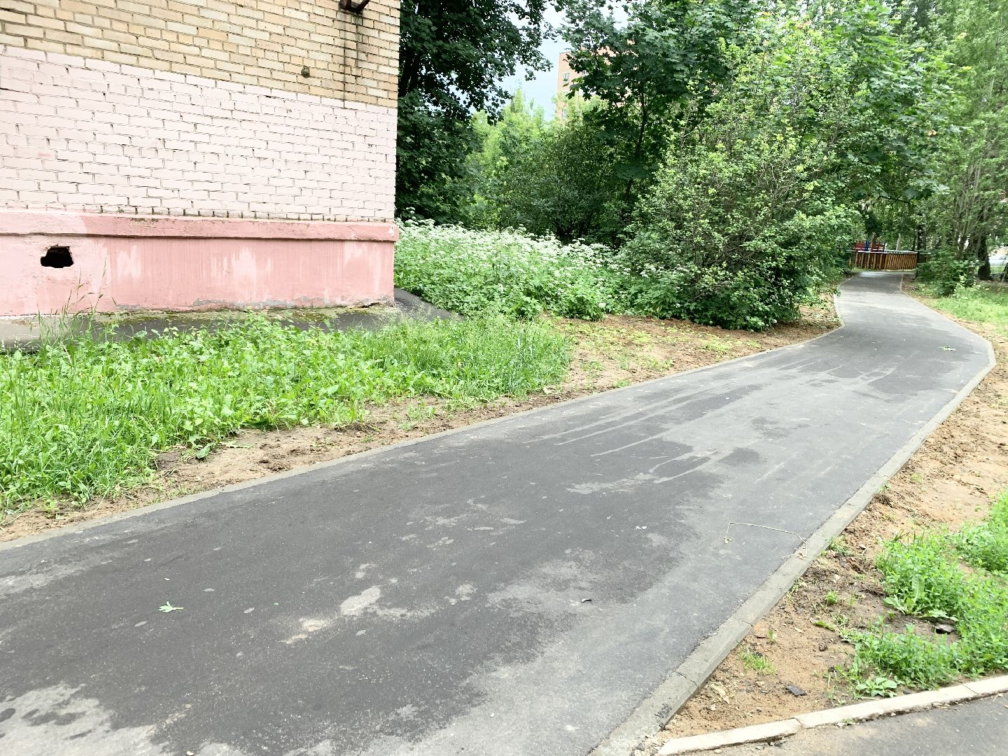 Балашиха, Подмосковье, Дороги, Народные тропы, пешеходная дорожка,