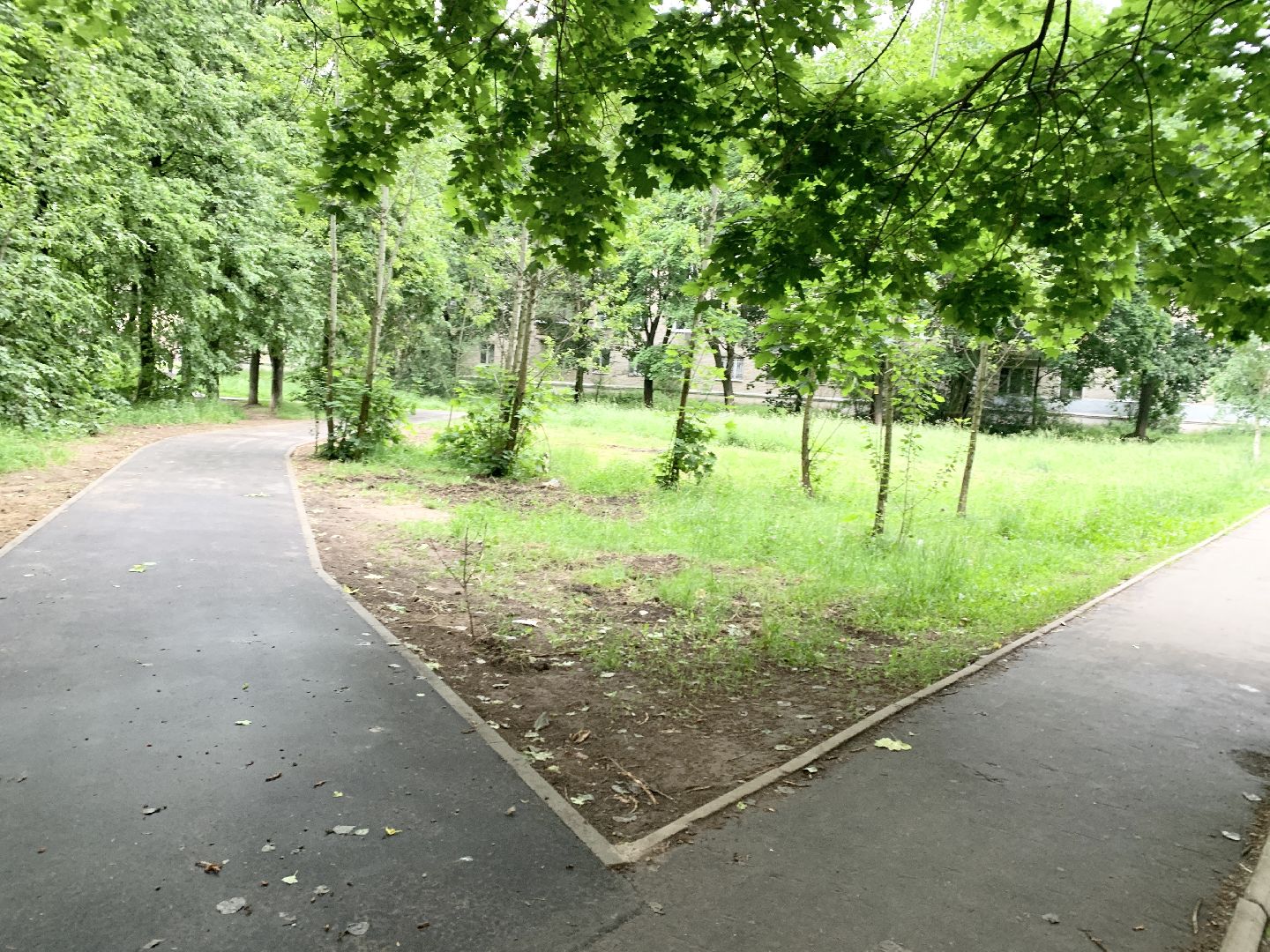 Балашиха, Подмосковье, Дороги, Народные тропы, пешеходная дорожка,